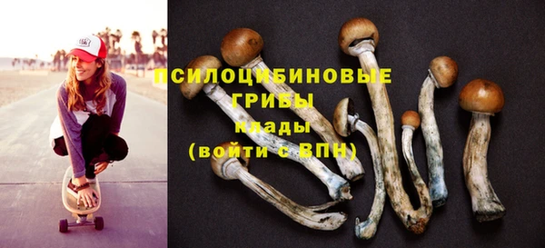 МДМА Ладушкин