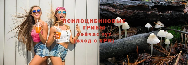 круглые Лагань