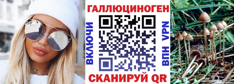Псилоцибиновые грибы Magic Shrooms Яблоновский